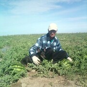  ,   , 52 ,   ,   , c , 
