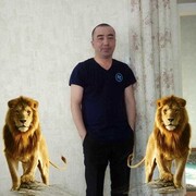  ,   , 44 ,   ,   
