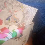 ���������� �������-���������, ����