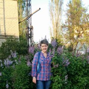 ���������� �������, ���� ������� ������, 54 ����, ������������ ��� ������, ����� � ���������, c�������� ���������