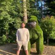 ���������� �����������, ���� ������� �����, 38 ���, ������������ ��� ������, ����� � ���������