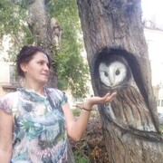  ,   , 49 ,   ,   