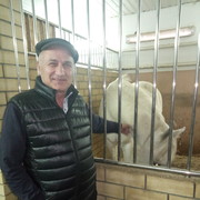  ,   , 55 ,   