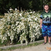 ���������� ��������, ���� ������� ����, 42 ����, ������������ ��� ������, ���������