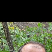  ,   Gela, 37 ,   ,   