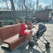 ���������� ��������, ���������