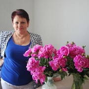  ,   , 65 ,     , c 