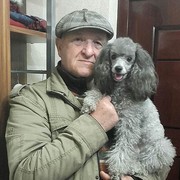  ,   , 78 ,   