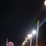 ���������� ���������, ���� ������� �����, 43 ����, ������������ ��� ������, ����� � ���������, c�������� ���������