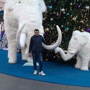  ,   , 41 ,   ,   