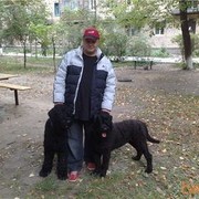 ���������� �������, ���� ������� ��������, 55 ���, ������������ ��� ������