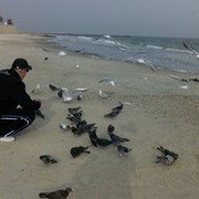  ,   , 61 ,   ,   , c 