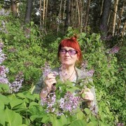 ���������� ���������, ���� ������� �������, 57 ���, ������������ ��� c�������� ���������