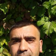 ���������� �����������, ������� ���������, 42