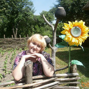 ���������� ����������, ���� ������� ��������, 44 ����, ������������ ��� ������, ����� � ���������, c�������� ���������