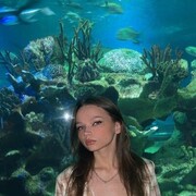  -,   , 21 ,   ,   , 
