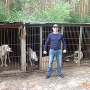 ���������� ������, ���� ������� �������, 41 ���, ������������ ��� ������