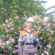  ,   , 58 ,  