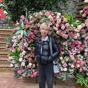  ,   , 56 ,     , c 