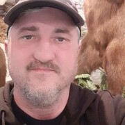 ���������� �����������, ���� ������� �����, 43 ����, ������������ ��� ������, ����� � ���������, c�������� ���������