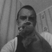 ���������� ������ ��������, ���� ������� Mishytka, 27 ���, ������������ ��� ������, ����� � ���������, c�������� ���������, ���������