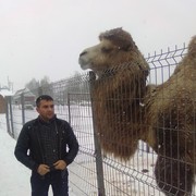 ���������� ������, ���� ������� ������, 43 ����, ������������ ��� ������, ����� � ���������, c�������� ���������