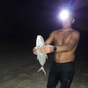 ���������� ���������, ���� ������� �����, 53 ����, ������������ ��� ������, ����� � ���������, c�������� ���������