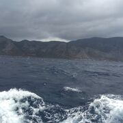 ���������� ����, ���� ����� ������, 23 ����, ������������ ��� ������, ����� � ���������