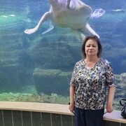 ���������� �����, ���� ������� ��������, 56 ���, ������������ ��� ����� � ���������, c�������� ���������, ���������