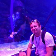 ���������� �����, ���� ������� �������, 38 ���, ������������ ��� ������, ����� � ���������, c�������� ���������