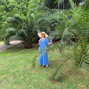 ���������� �����-���������, ���� ������� ������, 51 ���, ������������ ��� ������, ����� � ���������