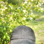  ,   , 49 ,   ,   , 