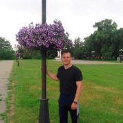 ���������� ��������, ���� ������� �������, 38 ���, ������������ ��� ������, ����� � ���������, c�������� ���������