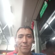 ���������� ������, ���� ������� ����, 37 ���, ������������ 