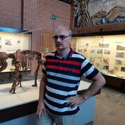  ,   , 55 ,   ,   , c 