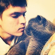 ���������� �����, ���� ������� ���������, 36 ���, ������������ ��� ������, ����� � ���������, c�������� ���������