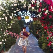 ���������� ���������, ���� ������� ������, 62 ����, ������������ ��� ������, ����� � ���������, ���������