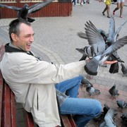  ,   , 56 ,     , c 