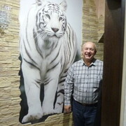  ,   , 59 ,   ,   , c 