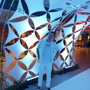  -,   , 33 ,  
