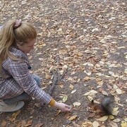 ���������� �����, ���� ������� ����, 35 ���, ������������ 