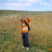 ���������� ��������, ���� ������� King, 31 ���, ������������ ��� ������, ����� � ���������, c�������� ���������, ���������