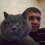  ,   , 42 ,   ,   , c , 