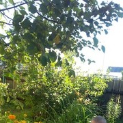 ���������� ������������, ���� ������� ���������, 34 ����, ������������ ��� ������, ����� � ���������, c�������� ���������