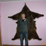  ,   , 39 ,   