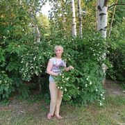 ���������� ���������, ���� ������� �����, 63 ����, ������������ ��� c�������� ���������