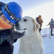 ���������� ���������, ���� ������� ������, 38 ���, ������������ ��� c�������� ���������