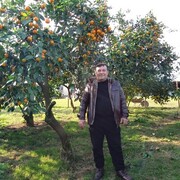  ,   , 40 ,   ,   