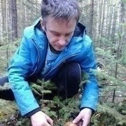  ,   Dimon, 43 ,   ,   , c 