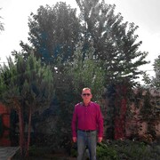 ���������� ���������, ���� ������� �������, 61 ���, ������������ ��� ����� � ���������, c�������� ���������